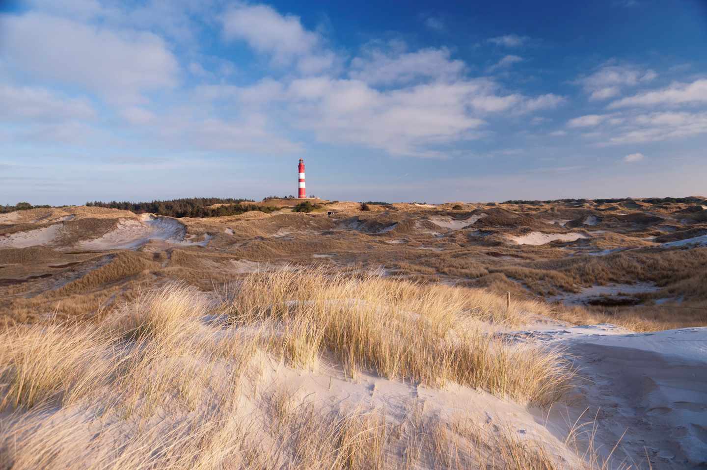 deutschland-amrum-strand-g-473706554.jpg