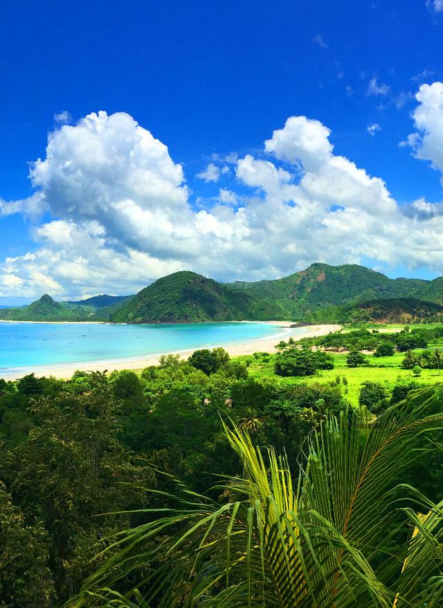Lombok Urlaub indonesien-lombok-dschungel-klein-g-696105010.jpg