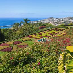 Pauschalreisen Madeira