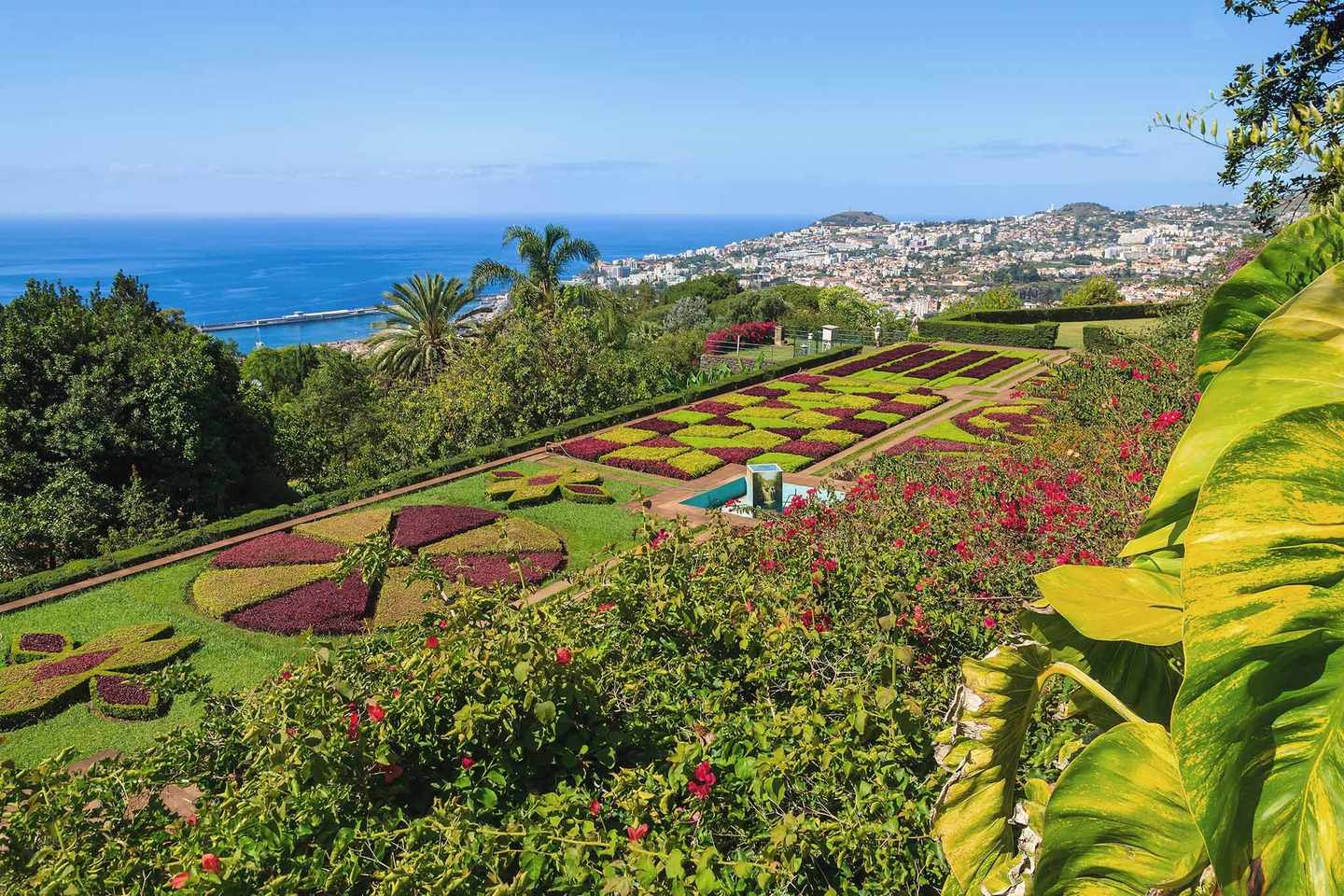 portugal-madeira-garten-in-der-stadt-funchal-g-905425852.jpg