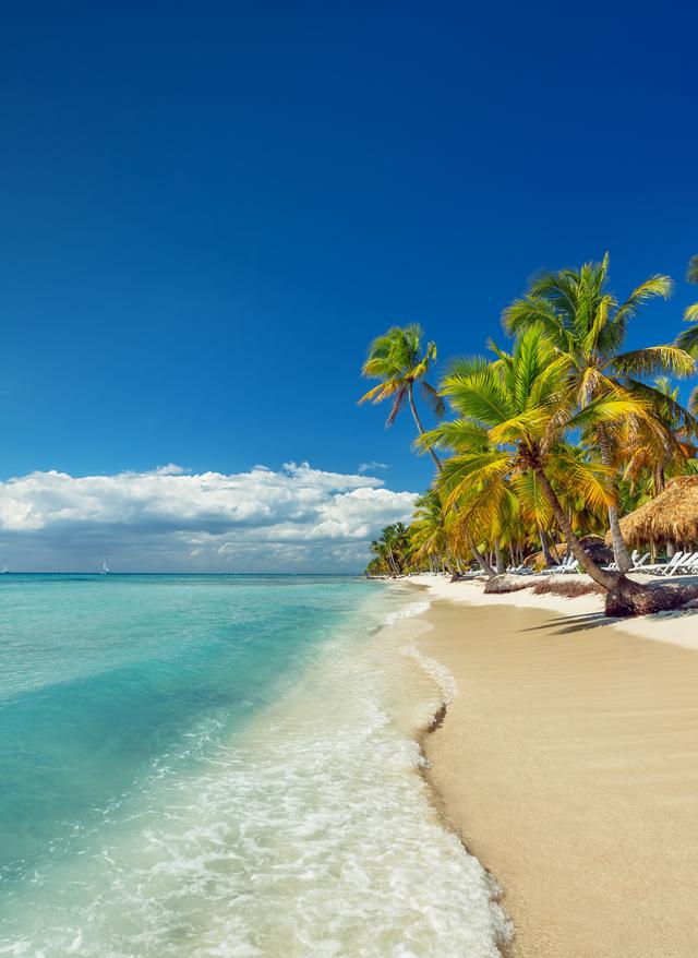 Zu den Angeboten Dominikanische Republik Strand und Palmen