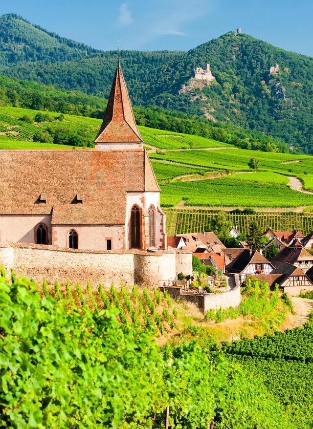 Hotel buchen Kirche in den Weinbergen im Elsass inFrankreich
