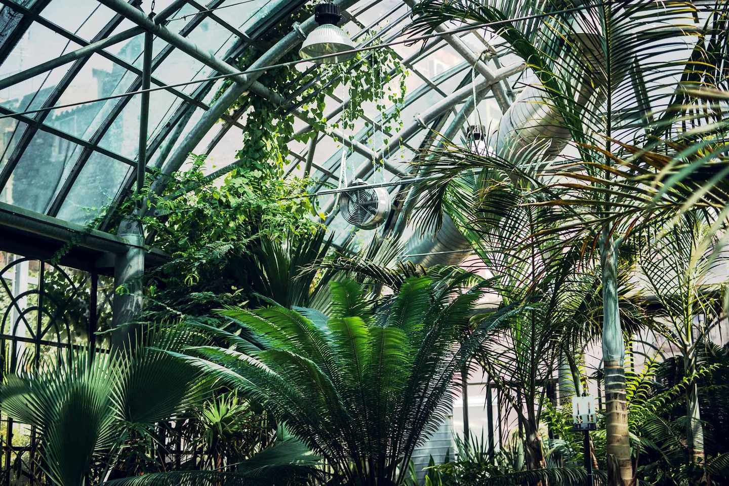 italien-sizilien-palermo-botanischer-garten-g-1045343992.jpg