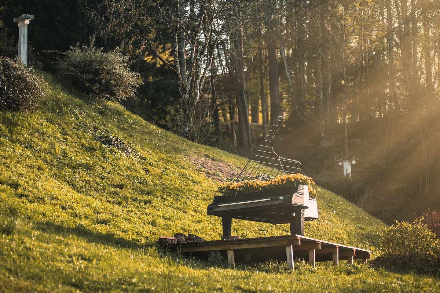 deutschland-bodensee-die-drei-schoensten-inseln-klavier-steht-in-der-natur-g-985090836.jpg