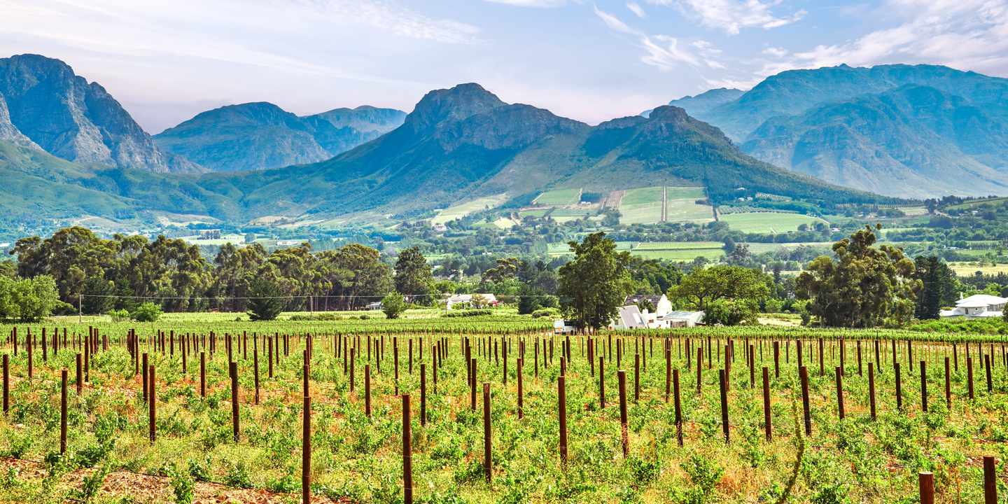 blt4b2abdb5aab714b0-suedafrika-stellenbosch-weinregion-weinberge-g-2152106093.jpg Weinberge von Stellenbosch mit Blick auf das Bergpanorama in Südafrika