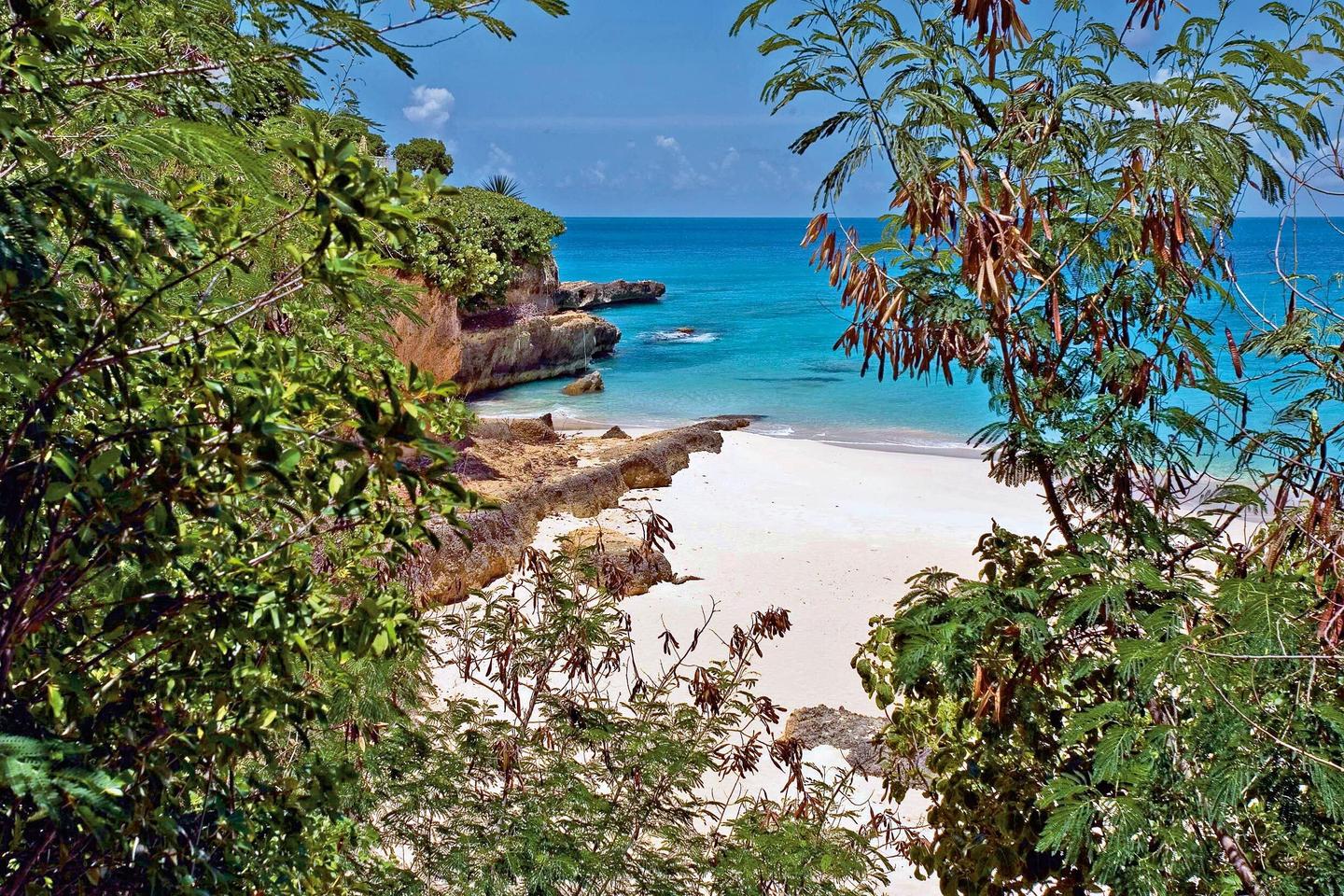 anguilla-p-mk34272.jpg