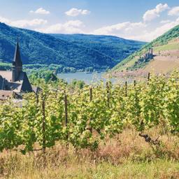 deutschland-rheinland-pfalz-rheinknie-bei-bingen-g-511621403_(1).jpg