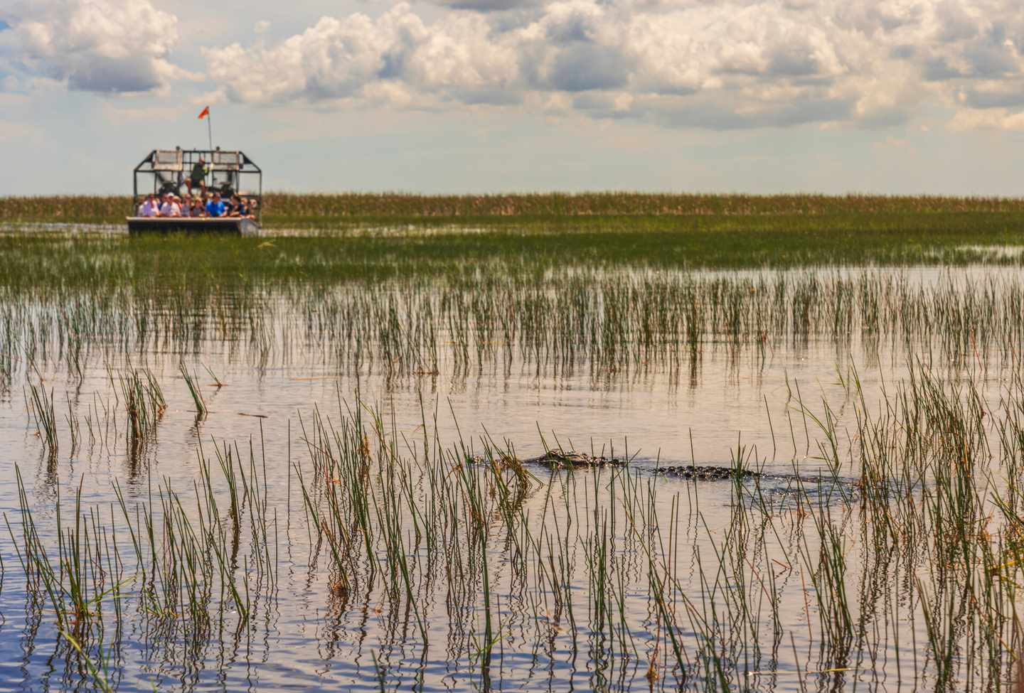 usa-florida-everglades-airboat-klein-g-1189461760.jpg