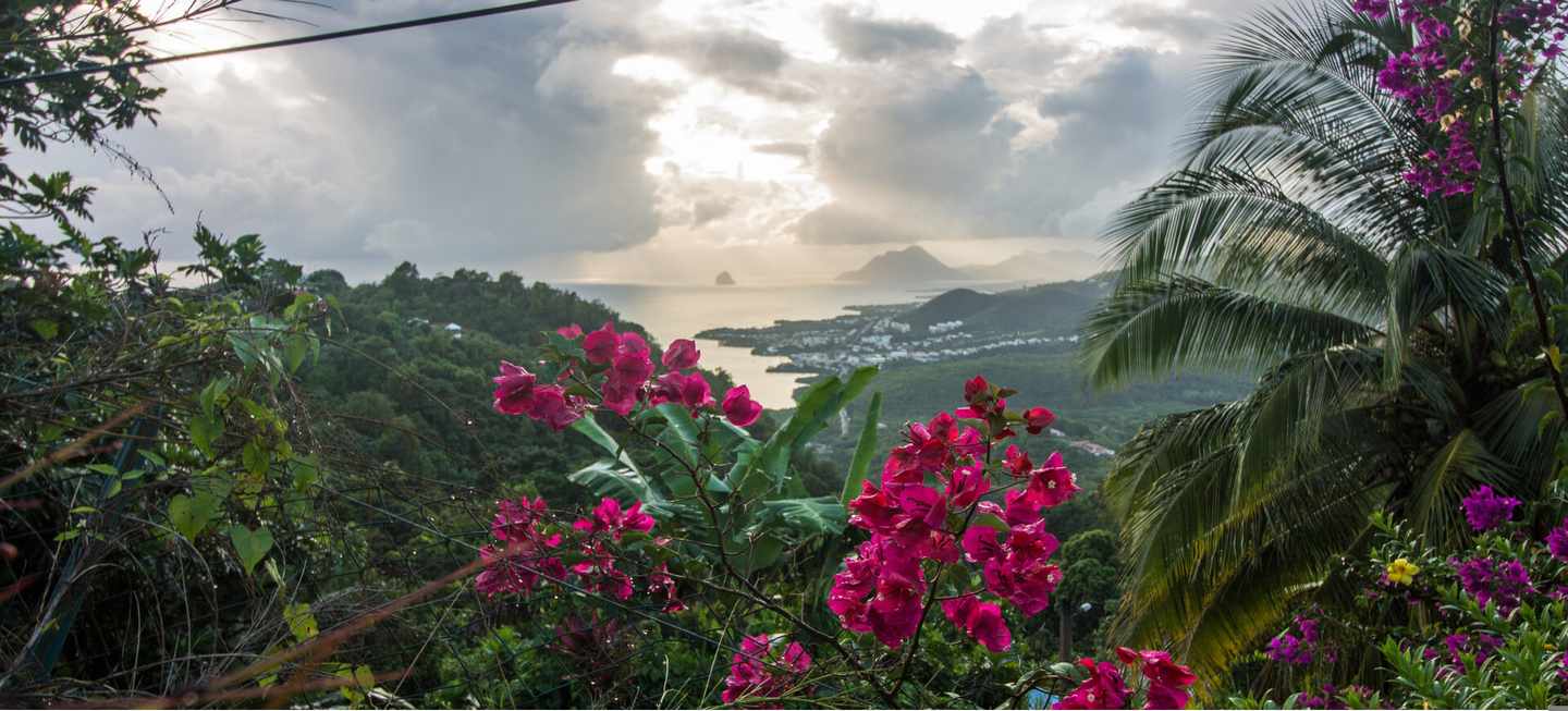 karibik-martinique-morne-larcher-klein-g-1074736454.jpg