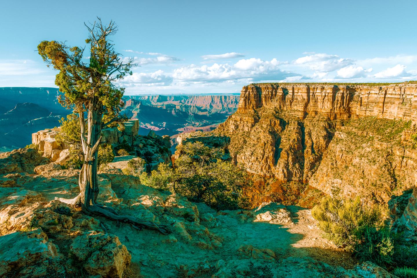 usa-arizona-grand-canyon-g-1310212190.jpg