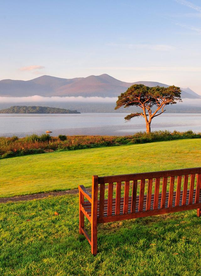 Rundreise buchen Rind of Kerry in Irland