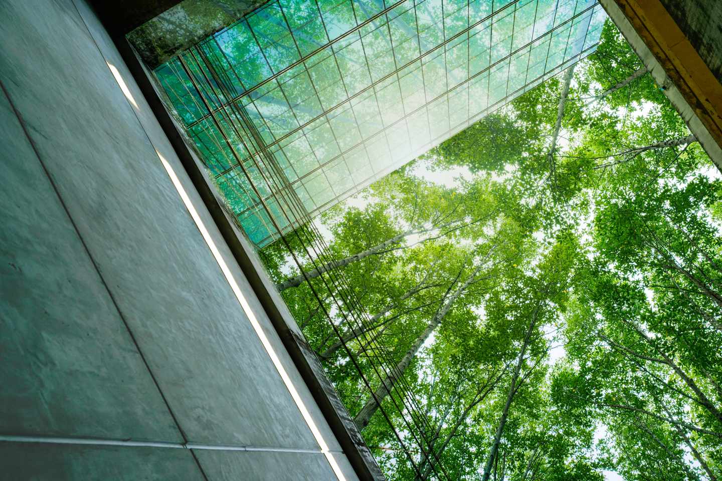nachhaltigkeit-blick-aus-einem-modernen-glasgebaeude-in-die-baumkronen-g-2177249855.jpg