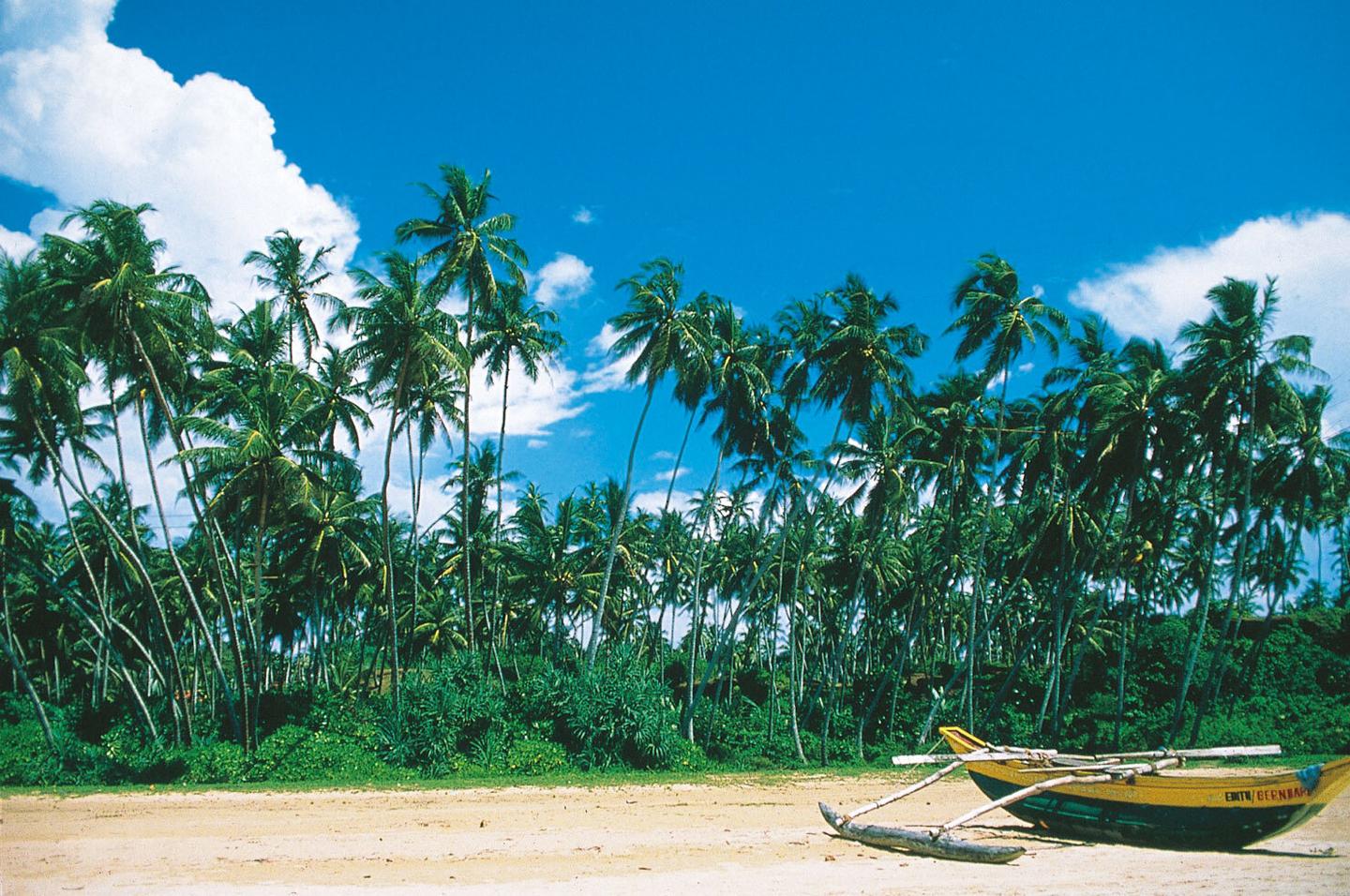 sri-lanka-bentotan-beach-strand-p-MC01651.jpg
