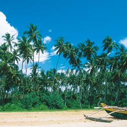 Hotel Westküste Sri Lanka