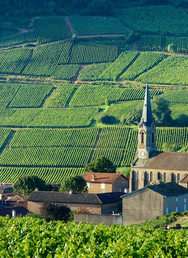 Hotel buchen Weinberge in Burgund Frankreich