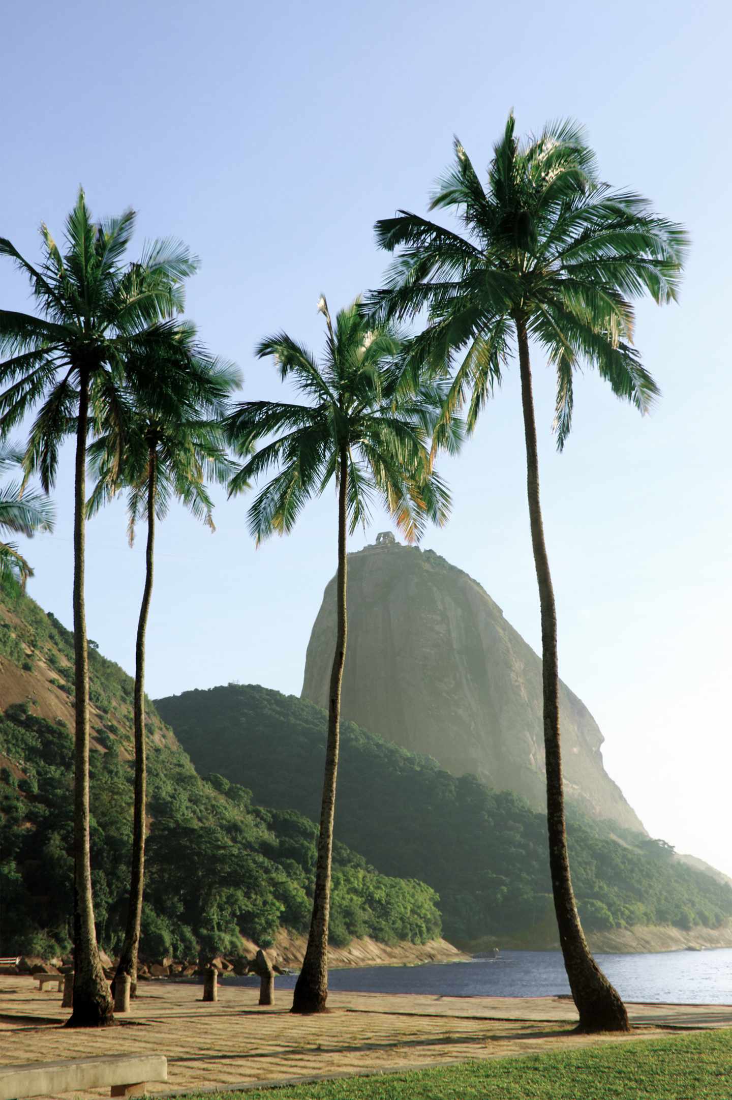 blt81cef1fe506992f7-Brasilien-Rio-de-Janeiro-Vermelha-Strand-g-171152666.jpg Vermelha Strand in Rio de Janeiro in Brasilien