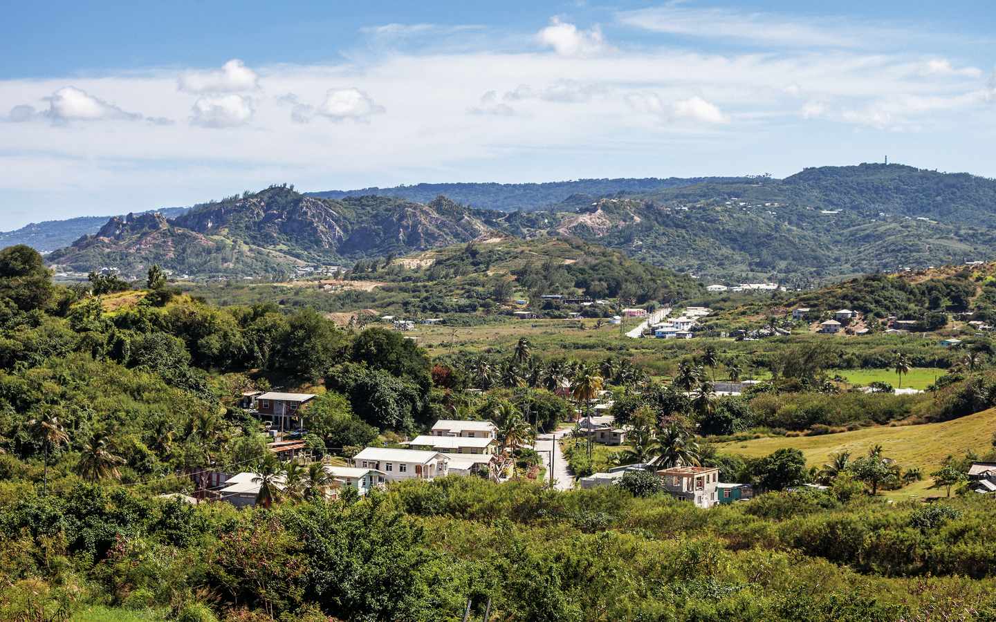 Barbados-Cherry-Hill-Tree-Blick-ins-Tal-g-1205394283_bearbeitet.jpg