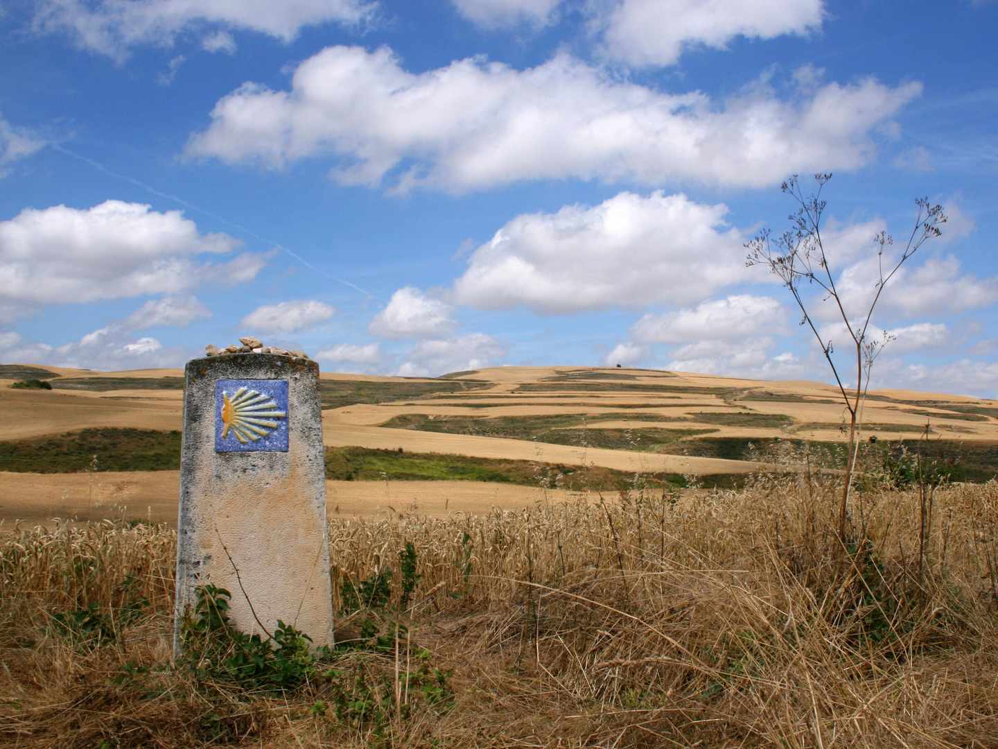 spanien-jakobsweg-t-153900377.jpg