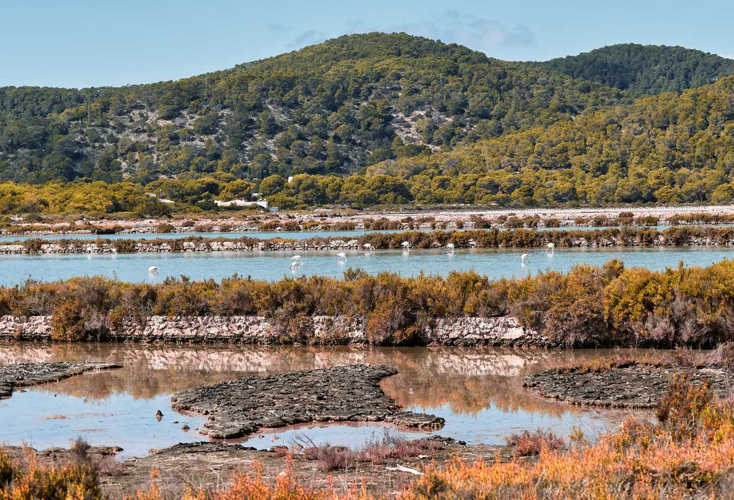 ibiza_naturpark_salinas_dertour_g-1180391106.jpg