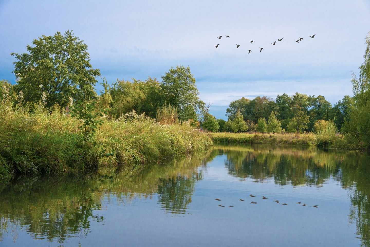 deutschland-brandenburg-spreewald-flusslandschaft-g-1056821462.jpg