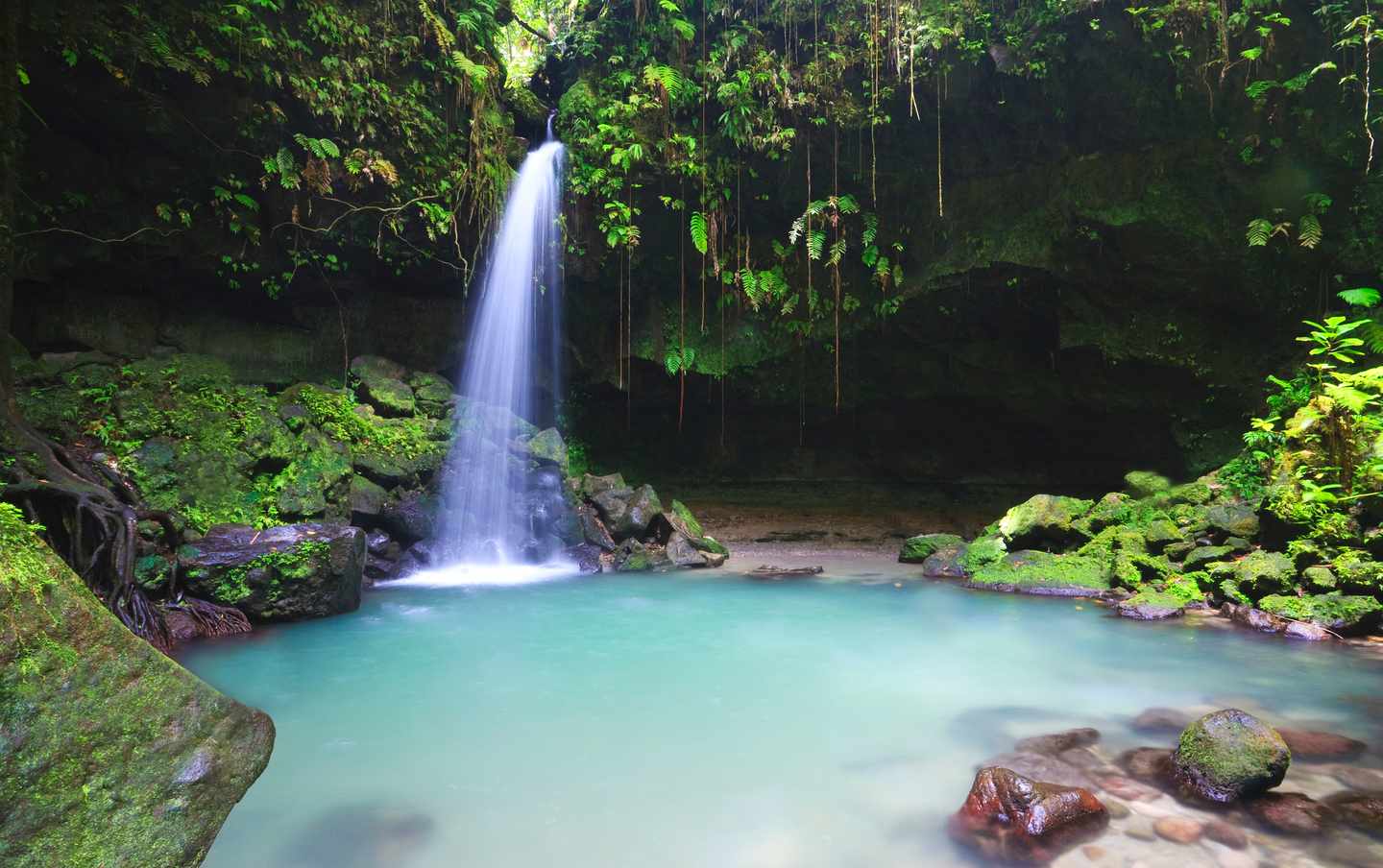 dominica-emerald-pool-wasserfall-t-147043308.jpg
