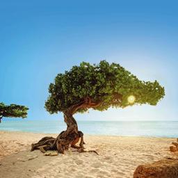 Hotels auf Aruba