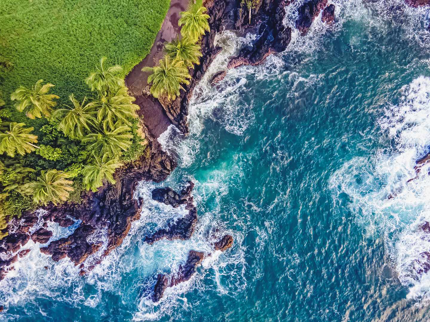 hawaii-maui-insel-drohnenaufnahme-felsenküste-palmen-ozean-g-1450693686.jpg