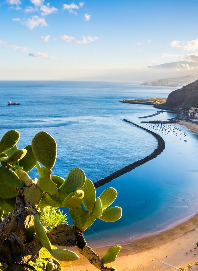 Angebote Kanaren Strand an Meeresbucht Teneriffa