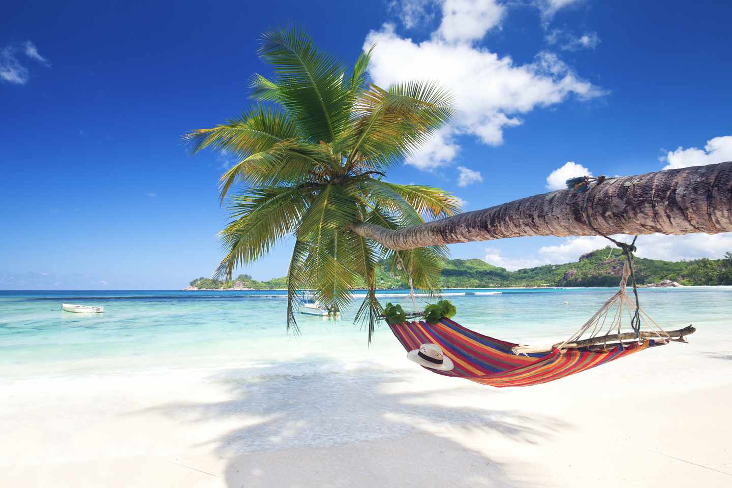 seychellen-haengematte-an-palme-g-475903022.jpg