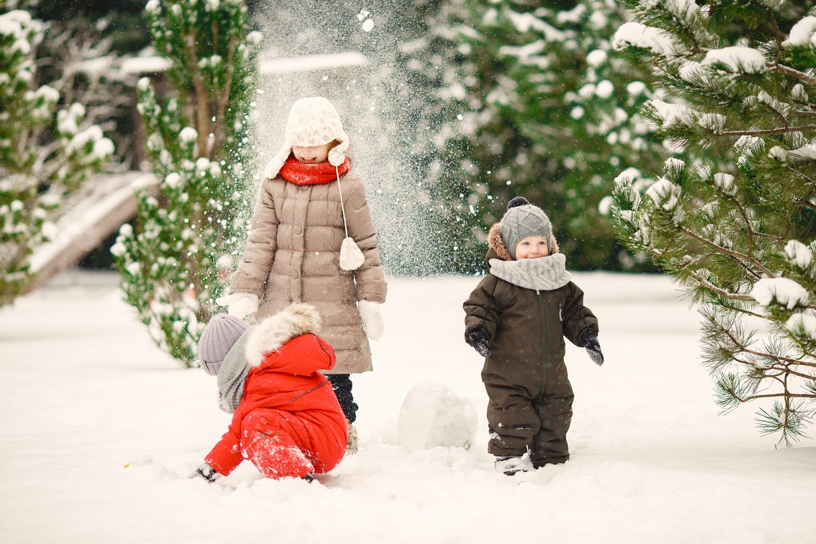 Drei Kinder in Winterkleidung spielen im Schnee zwischen Tannenbäumen