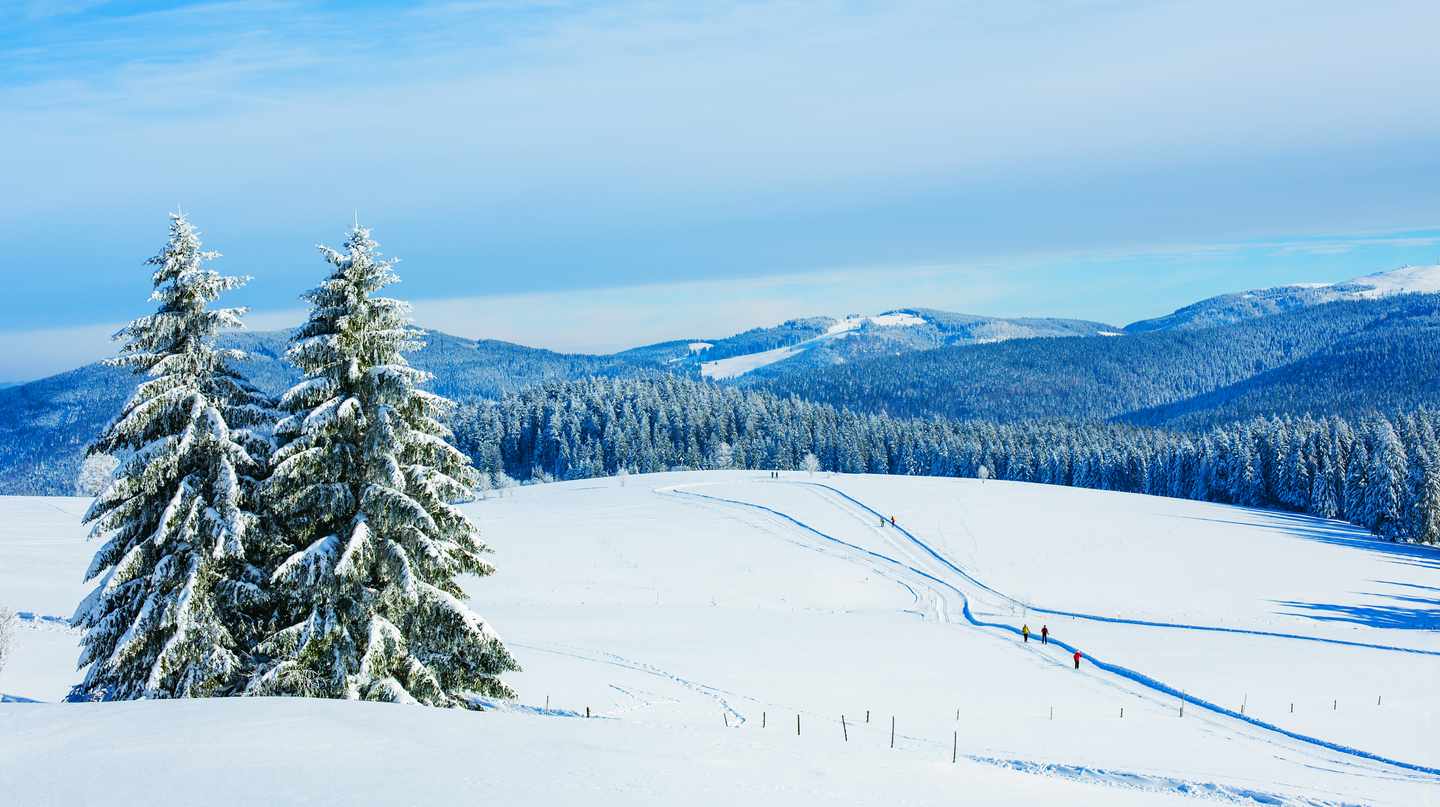 deutschland-schwarzwald-feldberg-g-913740024.jpg