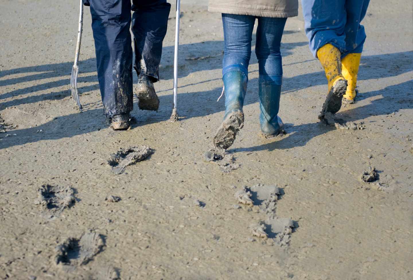watt-gummistiefel-g-1296302332.jpeg