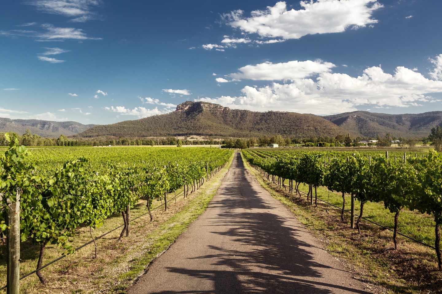 australien-hunter-valley-t-486674275.jpg