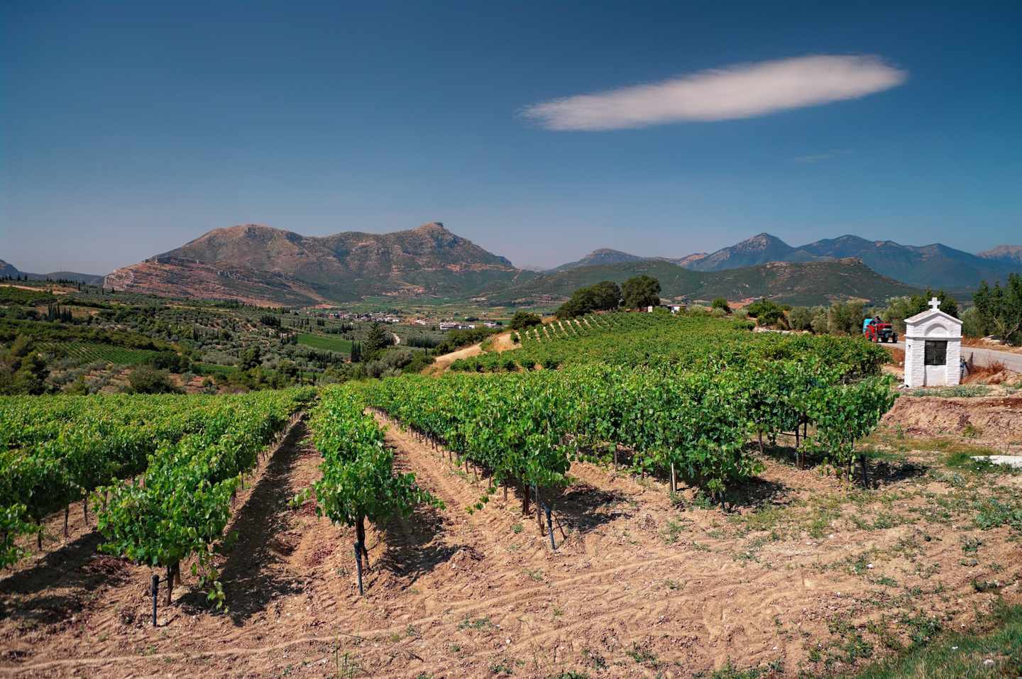 griechenland-peloponnes-weinberge-klein-g-1061486112.jpg