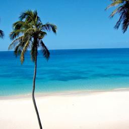 Hotels auf Grenada