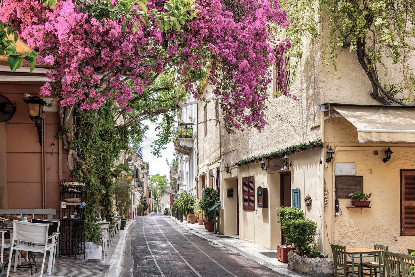 griechenland-athen-gassen-mit-bluehenden-pflanzen-g-1318598305_bearbeitet.jpg