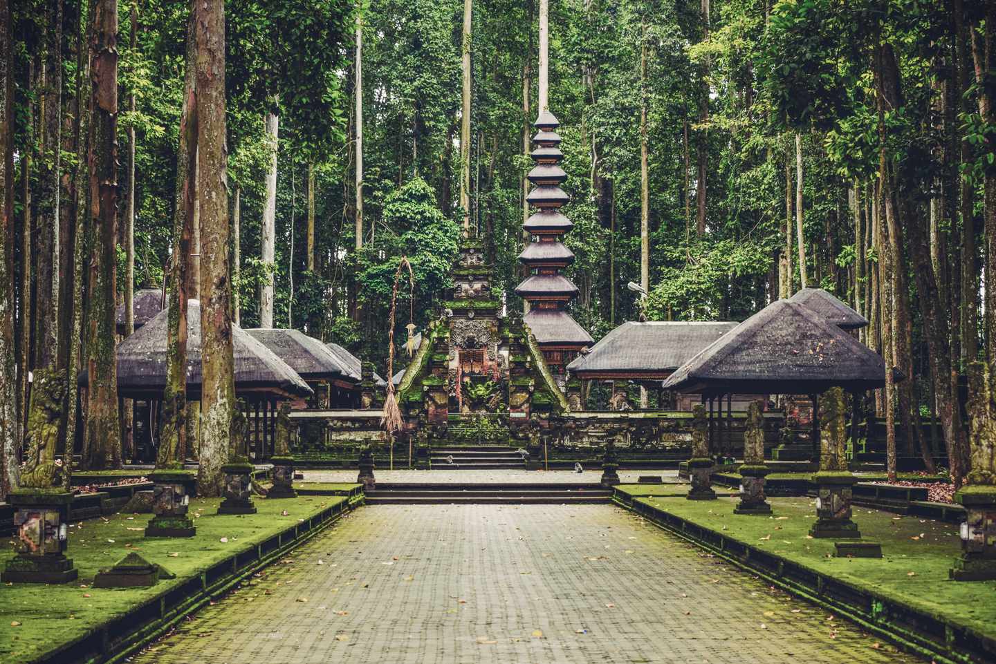 indonesien-bali-ubud-sacred-monkey-forest-g-619236614_bearbeitet.jpg