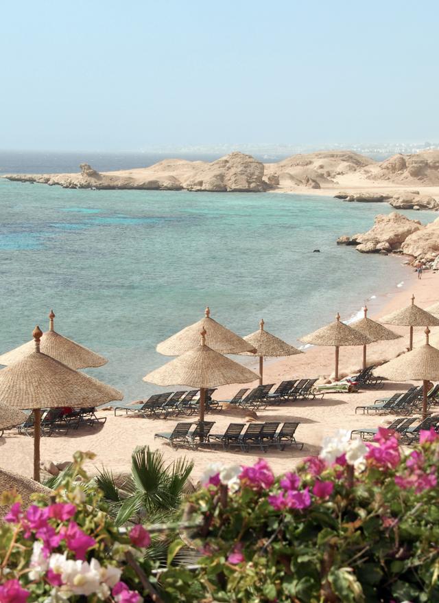 Zu den Angeboten Ägypten Urlaub Sharm El Sheikh Strand mit Sonnenschirmen