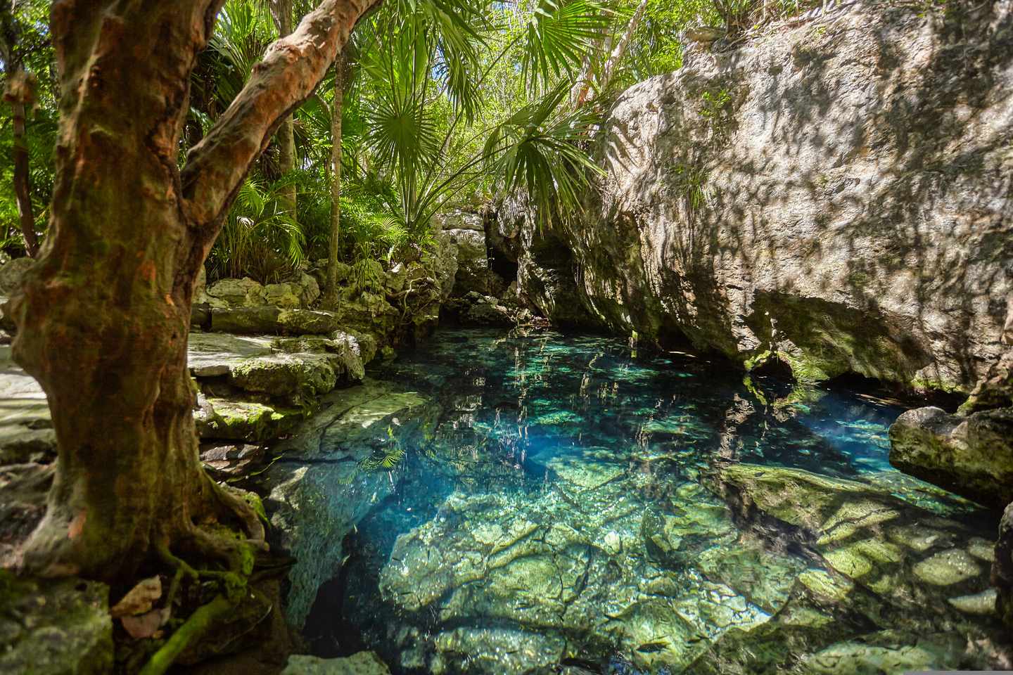 mexiko-yucatan-cenote-azul-klein-g-1285136662.jpg