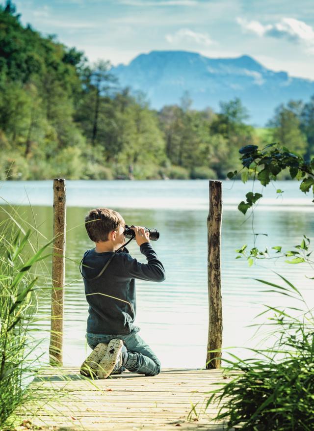 oesterreich-oberoesterreich-junge-auf-steg-hoellerersee-g-1278295364.jpg