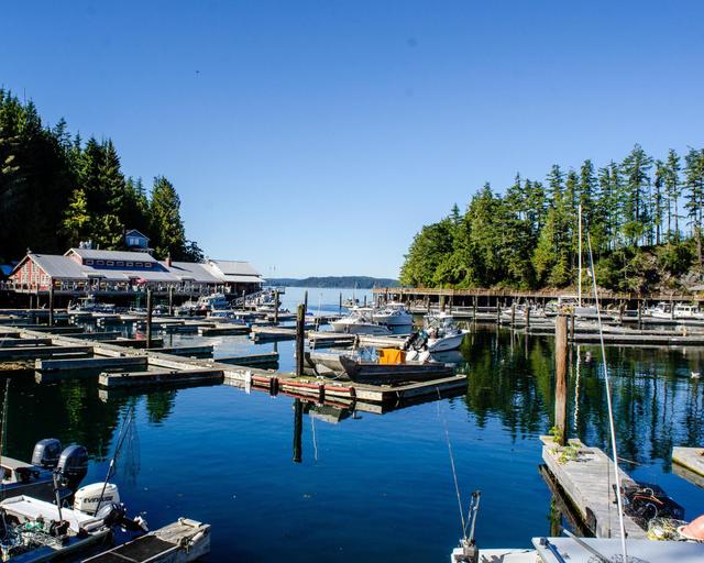 Vancouver Island: Küsten, Natur und Wildtierwelten
