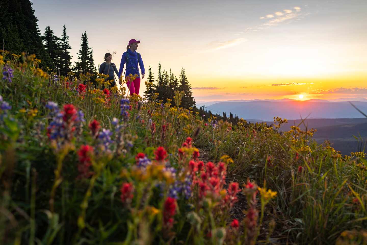 kanada-british-columbia-sun-peaks-blumenwiese-sun-peaks-resort.jpg