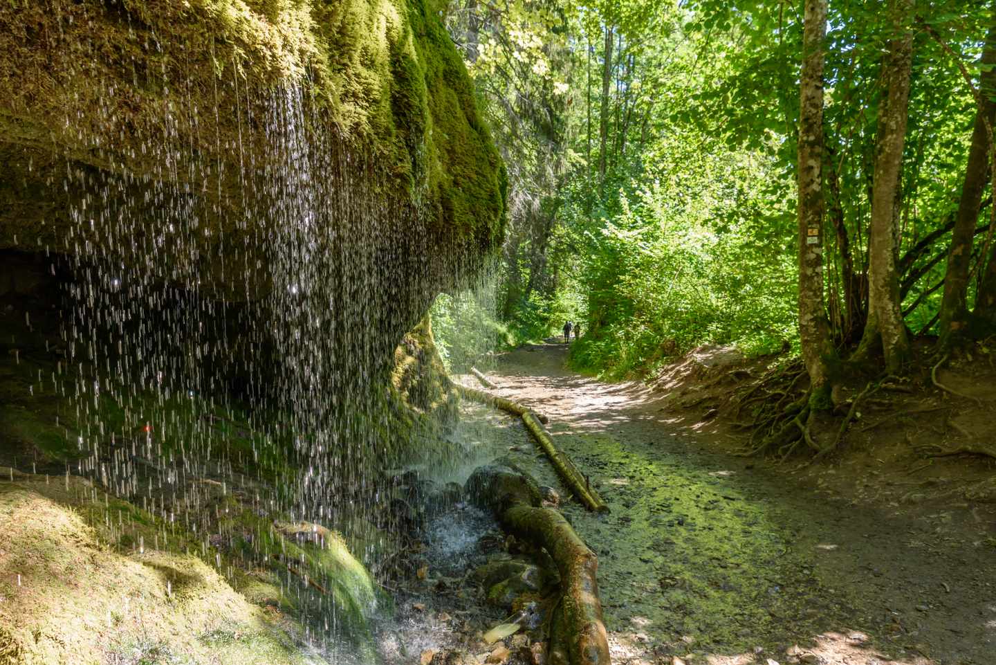 deutschland-wandern-im-schwarzwald-wutachschlucht-g-613790472.jpg