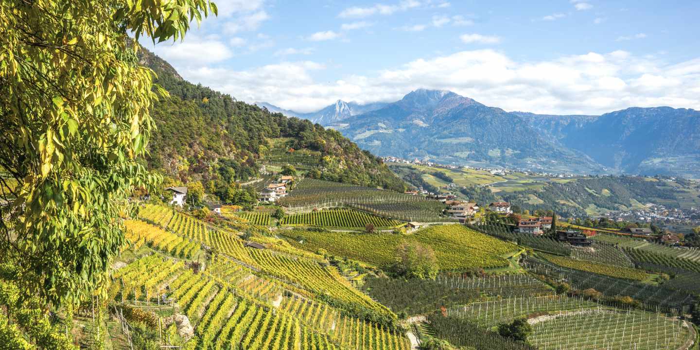 italien-suedtirol-blick-ueber-weinberge-g-1372167368.jpg