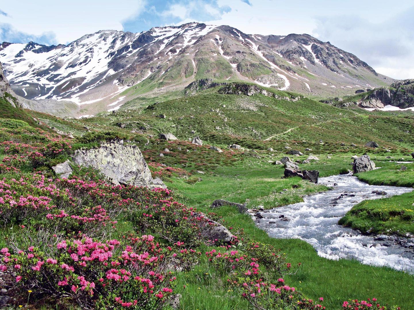 schweiz-graubuenden-p-E-6793126.jpg
