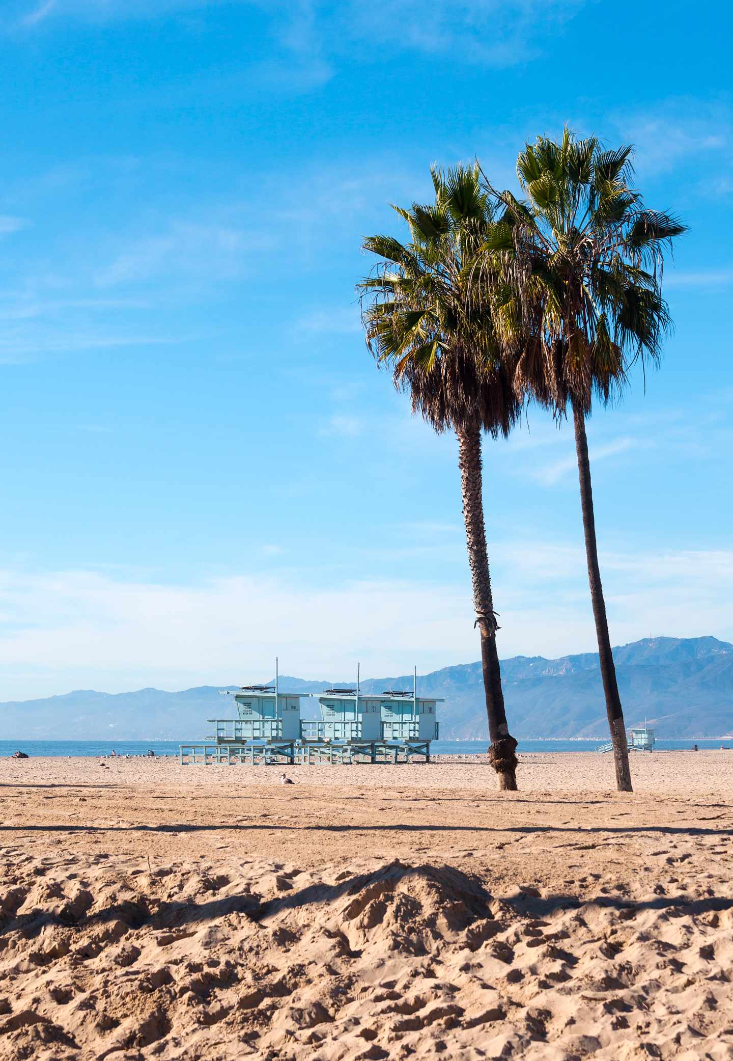GettyImages-466937298.jpg Strand von Santa Monica Beach mit Palmen und Rettungsschwimmer-Hütten vor strahlend blauem Himmel