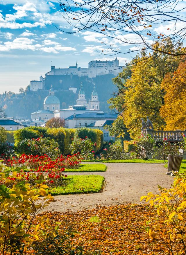 Zu den Angeboten Salzburg