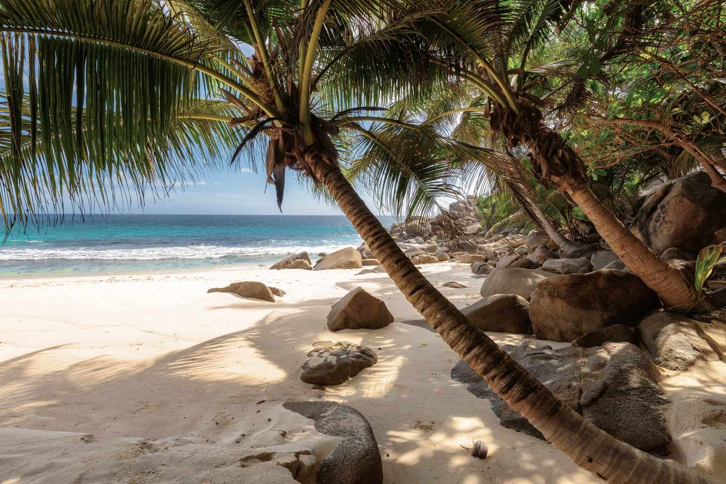 seychellen-mahe-anse-takamaka-strand-mit-palmen-g-508222296.jpg