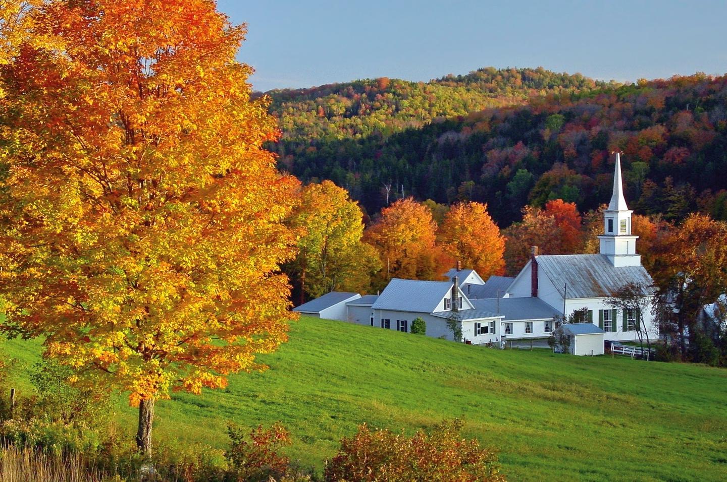 musa-vermont-p-u47434.jpg