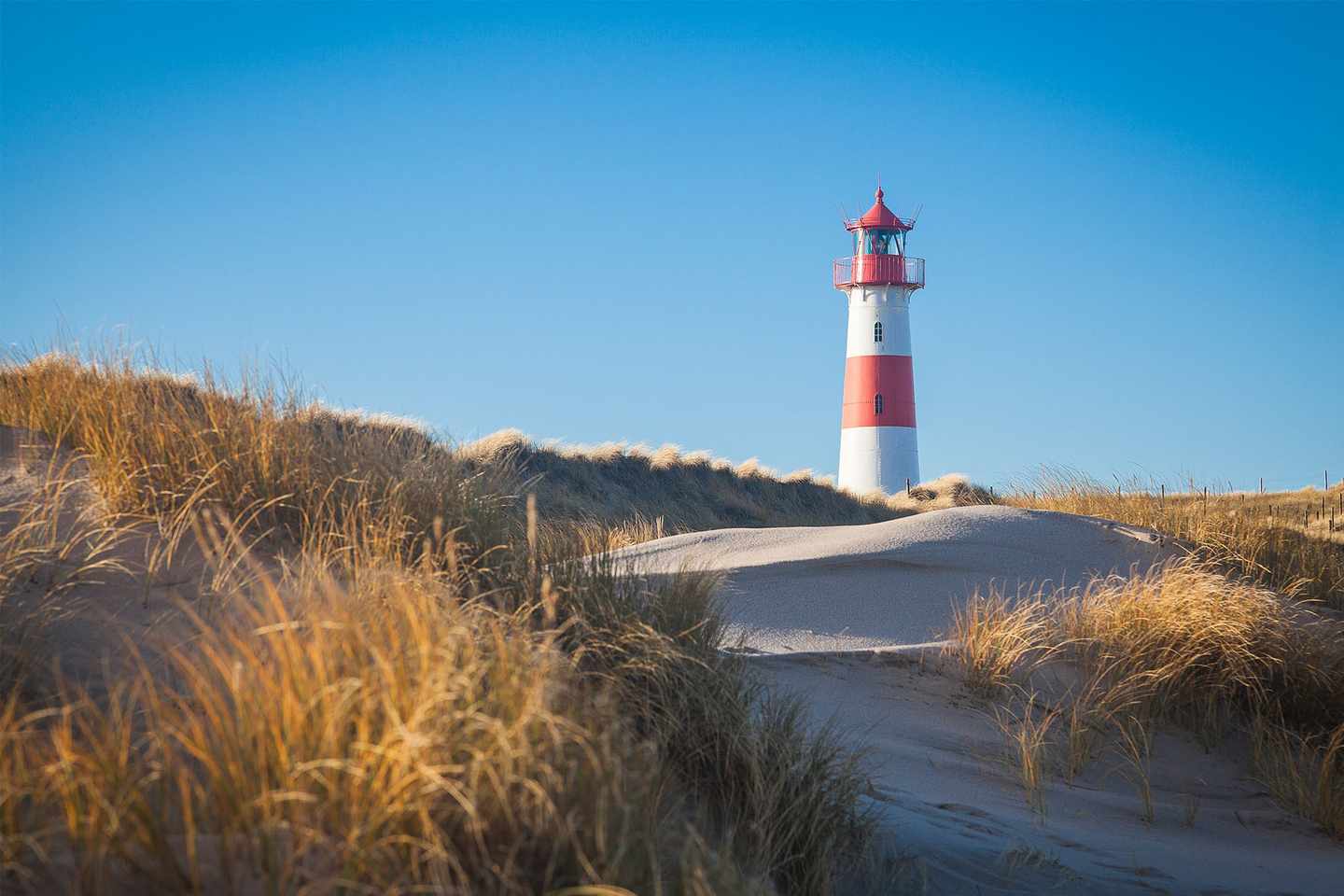 deutschland-nordsee-sylt-sehenswuerdigkeiten-leuchtturm-in-duenen-lister-ellenbogen-g-511803004.jpg